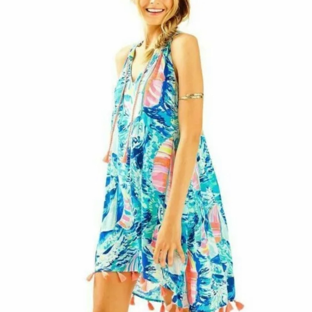 Lilly Pulitzer Roxi Dress Hey bay bay print Size Small